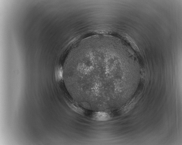 X0000116000095200911251109