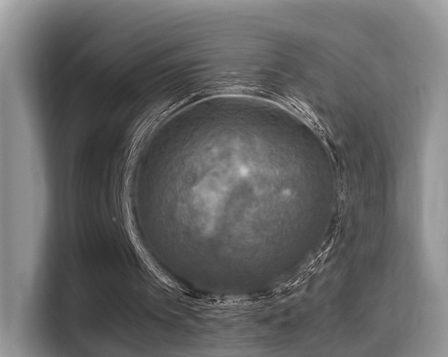 X0000116000097200911251108