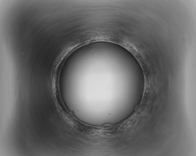 X0000116000098200911251108