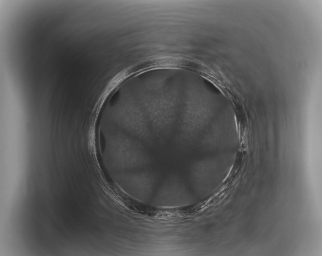 X0000116000099200911251108