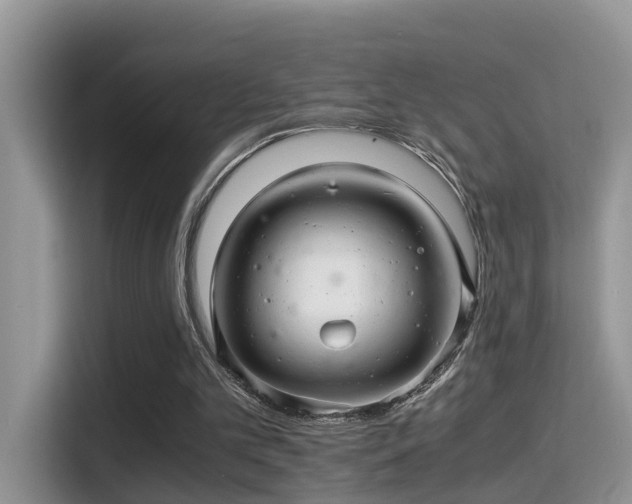 X0000116000101200911251108