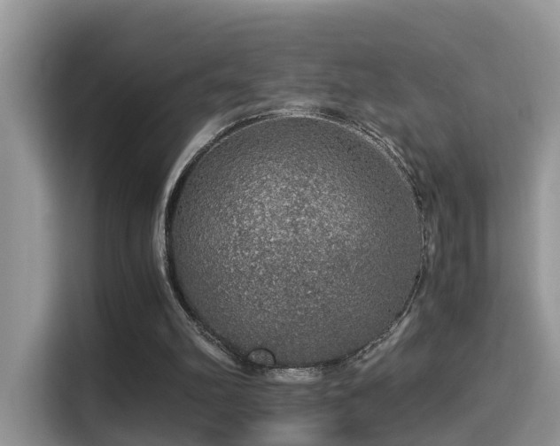 X0000116000102200911251108