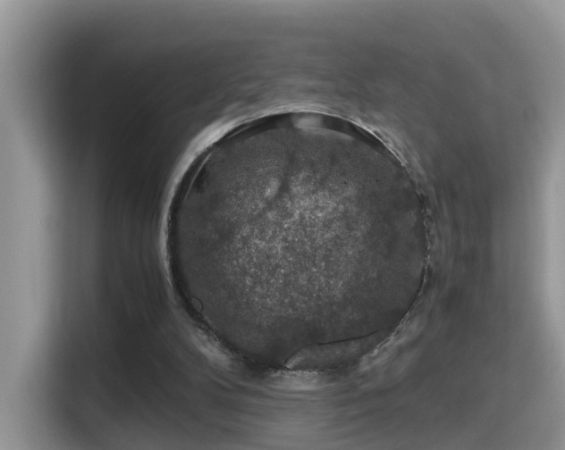 X0000116000104200911251108