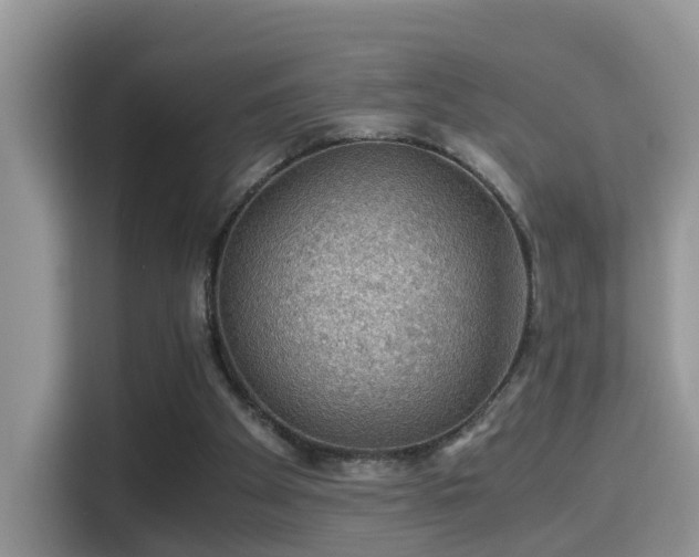 X0000116000105200911251108