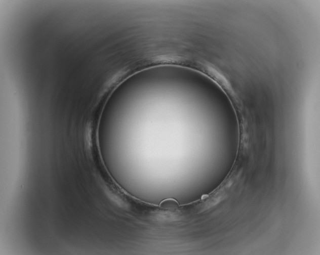 X0000116000106200911251108