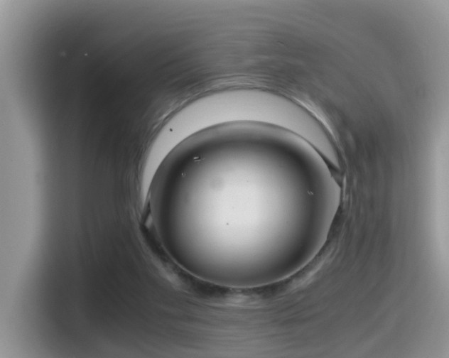 X0000116000109200911251108