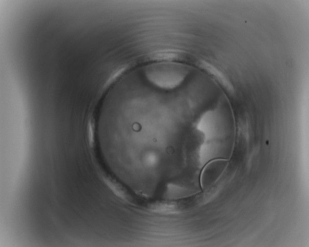 X0000116000110200911251108