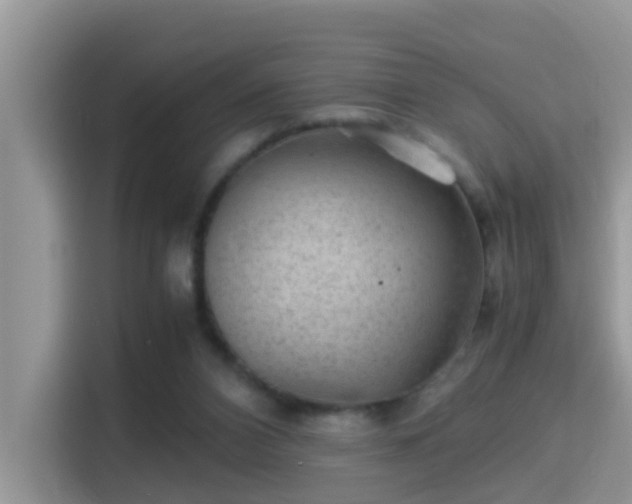 X0000116000112200911251108