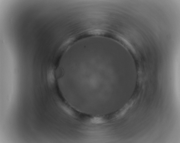 X0000116000114200911251108