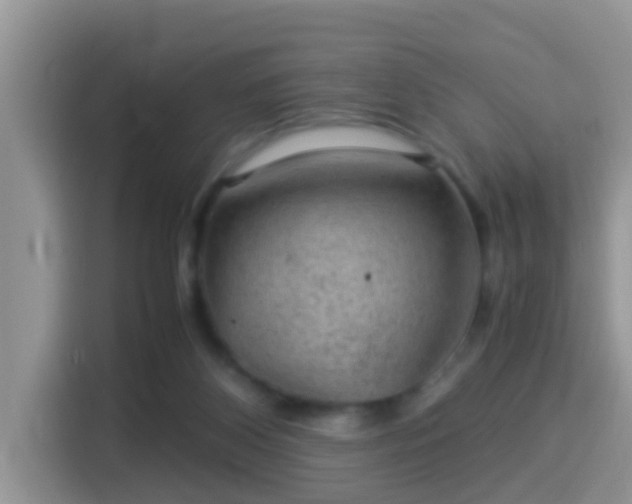 X0000116000116200911251108