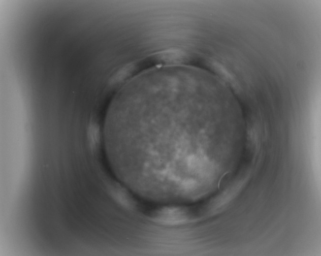 X0000116000117200911251108