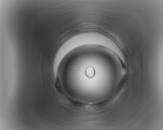 X0000116000121200911251108