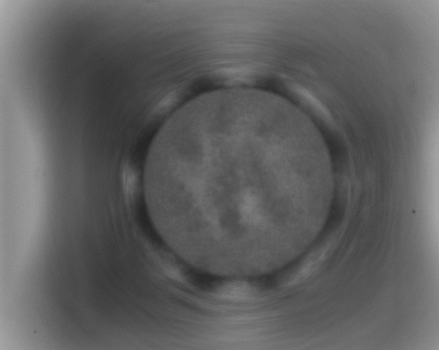 X0000116000123200911251108