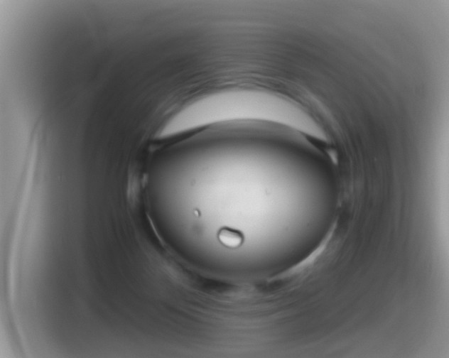 X0000116000124200911251108