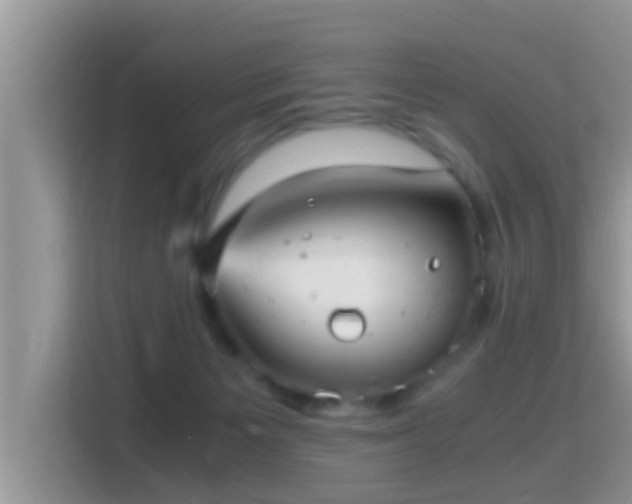 X0000116000125200911251108