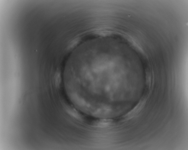 X0000116000128200911251108