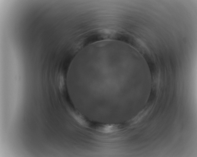 X0000116000130200911251108