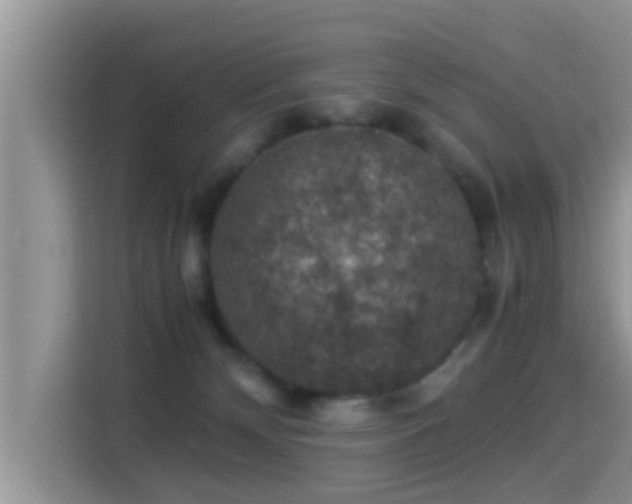 X0000116000132200911251108