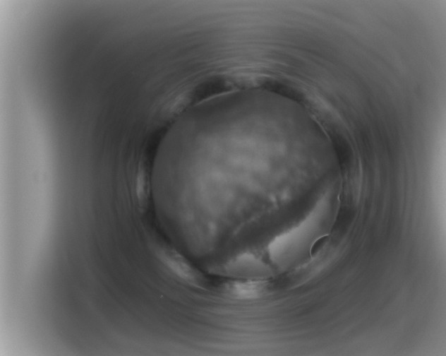 X0000116000134200911251108