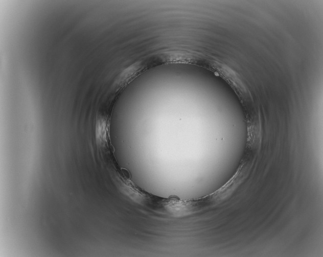 X0000116000142200911251108