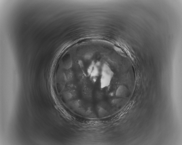 X0000116000145200911251107