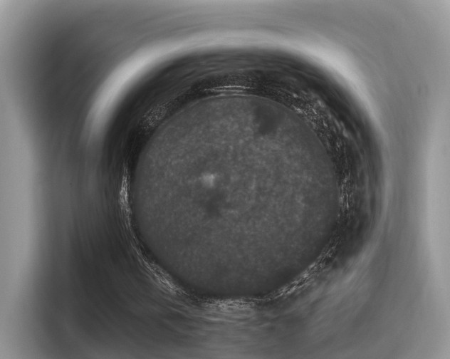 X0000116000146200911251107