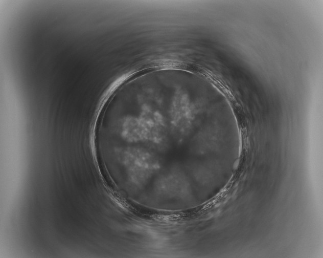 X0000116000147200911251107