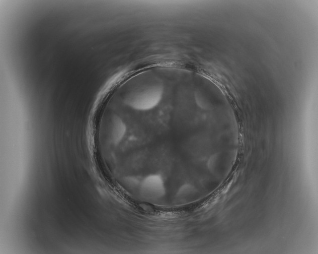 X0000116000149200911251107