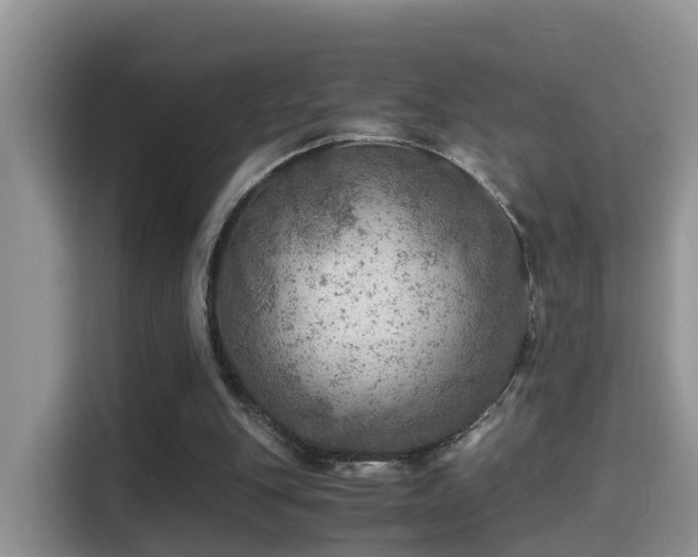 X0000116000151200911251107