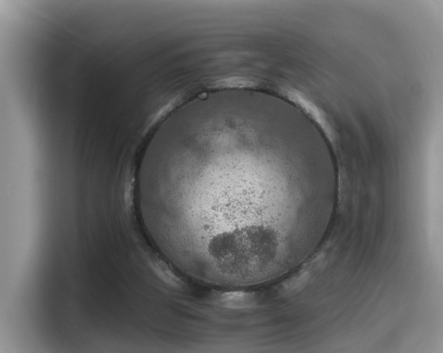 X0000116000153200911251107