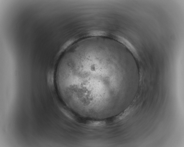 X0000116000155200911251107