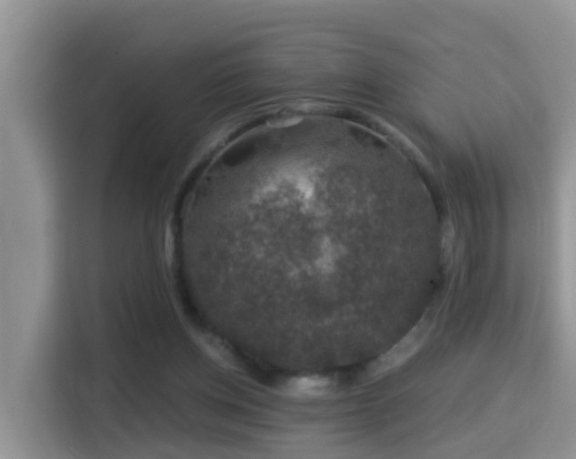 X0000116000158200911251107