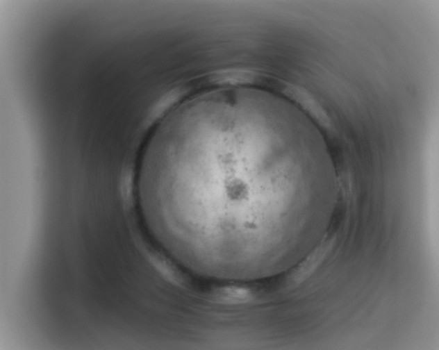 X0000116000159200911251107