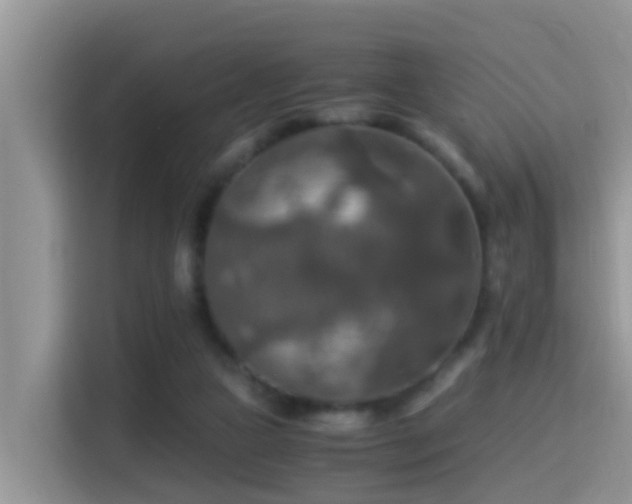 X0000116000161200911251107