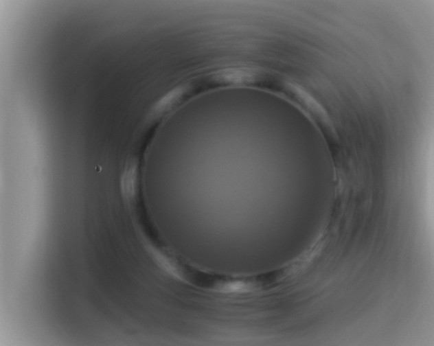 X0000116000163200911251107