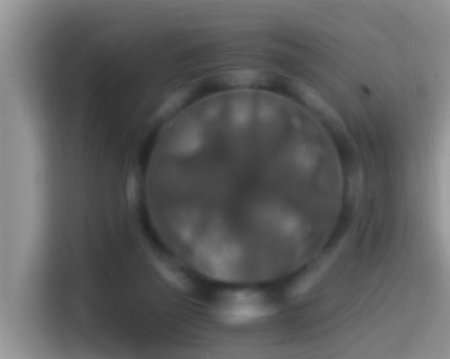 X0000116000165200911251107