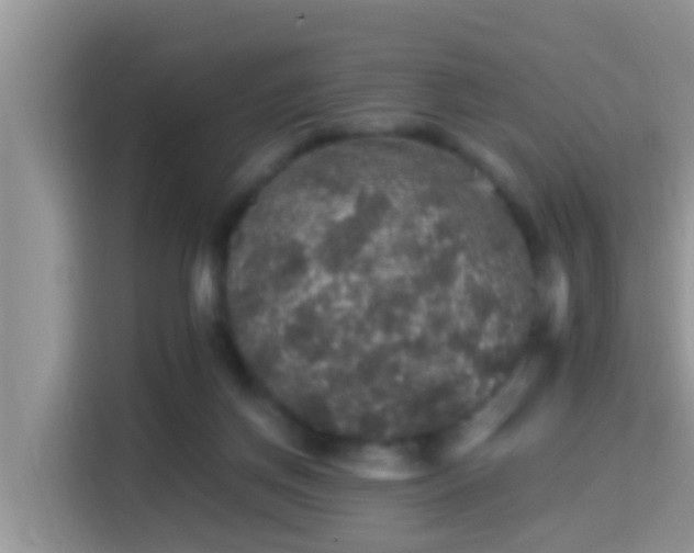 X0000116000166200911251107