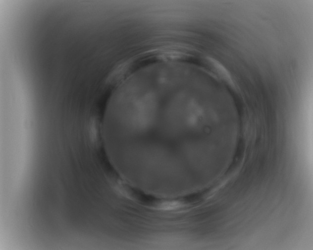 X0000116000169200911251107