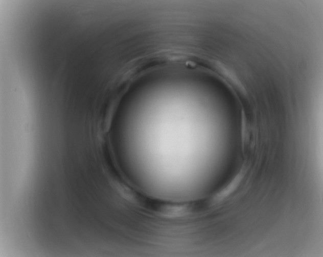 X0000116000170200911251107