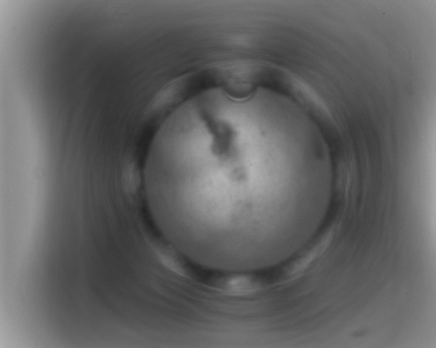 X0000116000173200911251107