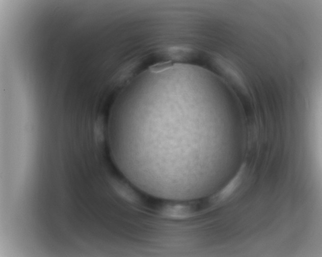 X0000116000174200911251107