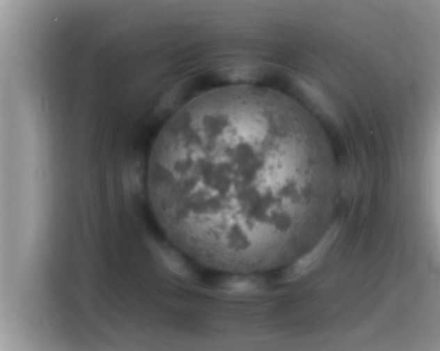 X0000116000175200911251107