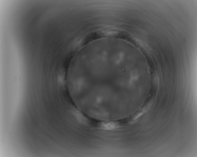 X0000116000181200911251107