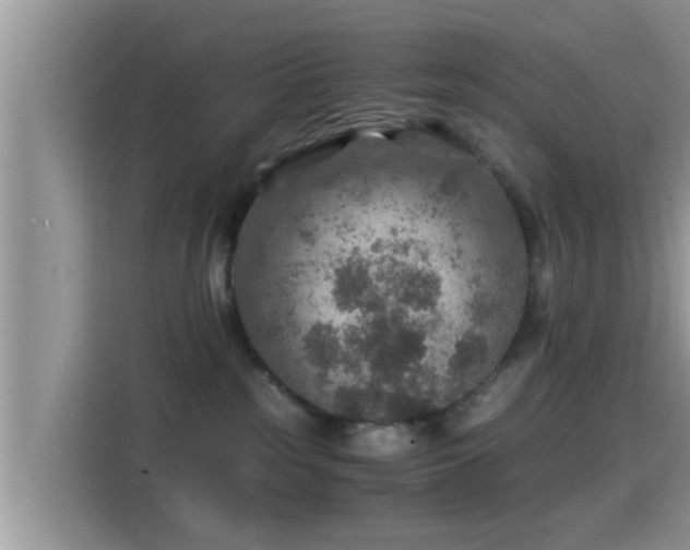 X0000116000185200911251108