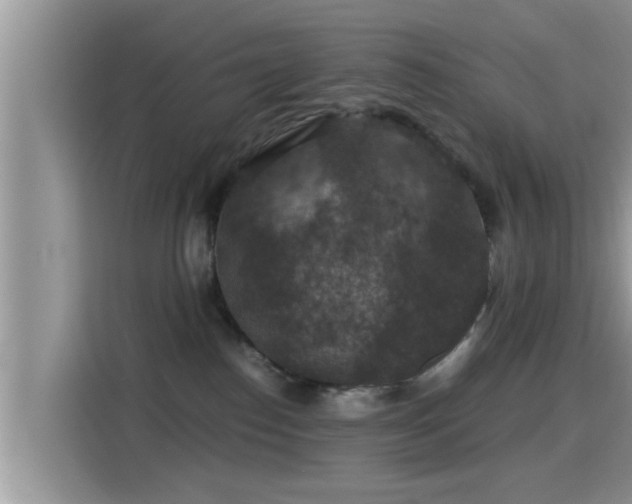 X0000116000186200911251108