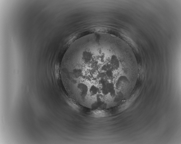 X0000116000189200911251108