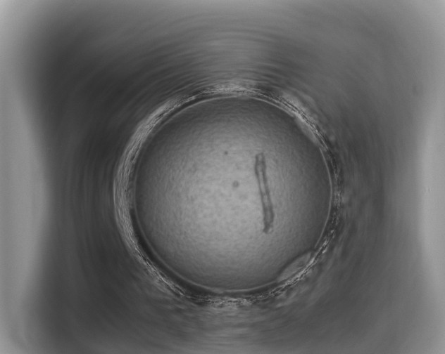 X0000116000193200911251107