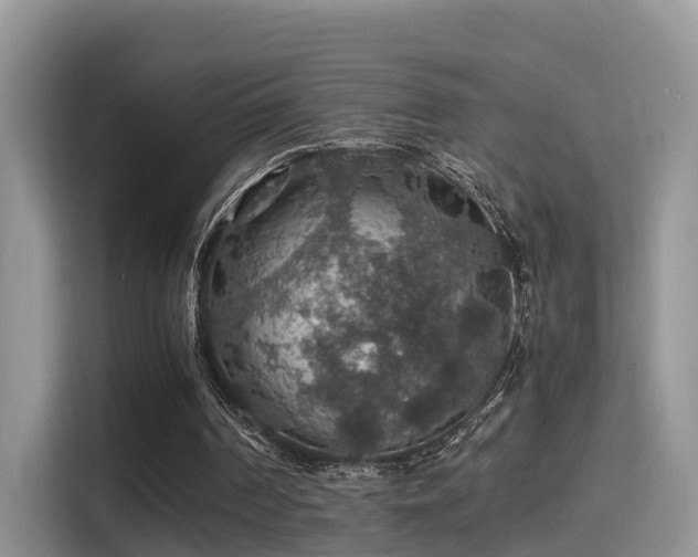 X0000116000194200911251107