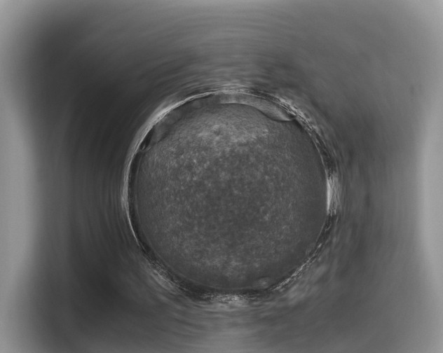 X0000116000195200911251107