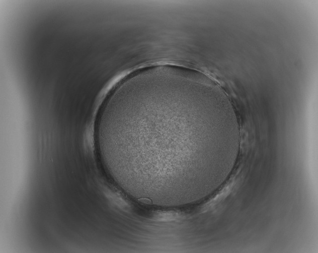 X0000116000200200911251107